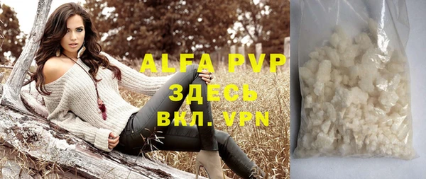 молекула духа Алексин