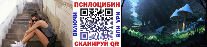 Галлюциногенные грибы Cubensis  наркошоп  Невьянск 